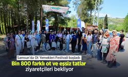 Samsun’da Ot Yemekleri Festivali başladı: Bin 800 farklı ot ve eşsiz tatlar ziyaretçileri bekliyor