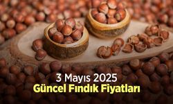 3 Mayıs 2025 Güncel Fındık Fiyatları