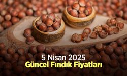5 Mayıs 2025 Güncel Fındık Fiyatları