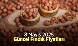 8 Mayıs 2025 Güncel Fındık Fiyatları