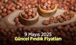 9 Mayıs 2025 Güncel Fındık Fiyatları