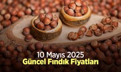 10 Mayıs 2025 Güncel Fındık Fiyatları