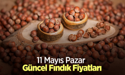 11 Mayıs 2025 Güncel Fındık Fiyatları