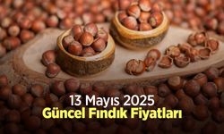 13 Mayıs 2025 Güncel Fındık Fiyatları