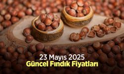 23 Mayıs 2025 Güncel Fındık Fiyatları