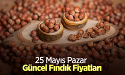 25 Mayıs 2025 Güncel Fındık Fiyatları