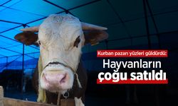 Kurban pazarı yüzleri güldürdü: Hayvanların çoğu satıldı