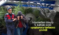 İnternetten izleyip 5. kattaki evini uyuşturucu tarlasına çevirdi