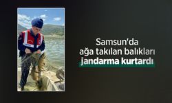 Samsun'da ağa takılan balıkları jandarma kurtardı