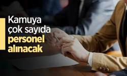 Kamuya çok sayıda personel alınacak
