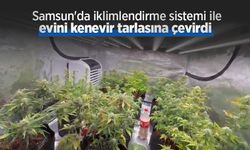 Samsun'da iklimlendirme sistemi ile evini kenevir tarlasına çevirdi