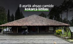 8 asırlık ahşap camide kokarca istilası