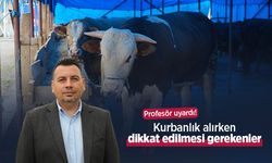 Profesör uyardı! Kurbanlık alırken dikkat edilmesi gerekenler