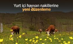 Yurt içi hayvan nakillerine yeni düzenleme