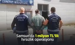 Samsun'da 1 milyon TL'lik hırsızlık operasyonu: 6 şüpheli gözaltında