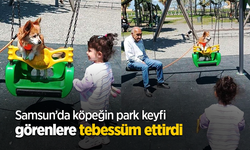 Samsun’da köpeğin park keyfi görenlere tebessüm ettirdi