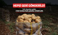 Hepsi geri gönderildi: Yurt dışından gelen 2 bin tondan fazla patates virüslü çıktı