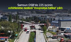 Samsun OSB'de 225 işçinin zehirlenme nedeni 'magnolya tatlısı' çıktı