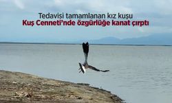 Tedavisi tamamlanan kız kuşu Kuş Cenneti’nde özgürlüğe kanat çırptı