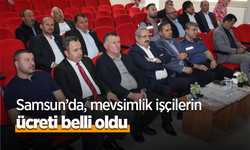 Samsun’da mevsimlik işçilerin ücreti belli oldu