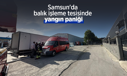Samsun'da balık işleme tesisinde yangın paniği