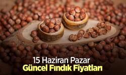15 Haziran 2025 Güncel Fındık Fiyatları