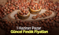 1 Haziran  2025 Güncel Fındık Fiyatları