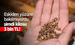 Eskiden yüzüne bakılmıyordu şimdi kilosu 3 bin TL!