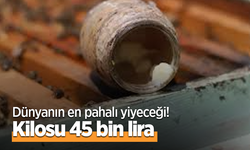 Dünyanın en pahalı yiyeceği! Kilosu 45 bin lira