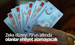 Zeka düzeyi 79'un altında olanlar ehliyet alamayacak