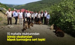 15 mahalle muhtarından izinsiz oluşturulan köpek barınağına sert tepki