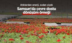 Atıklardan enerji, ısıdan çiçek: Samsun'da çevre dostu dönüşüm örneği