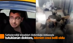 Sahiplendiği köpekleri öldürdüğü iddiasıyla tutuklanan doktora, istenen ceza belli oldu