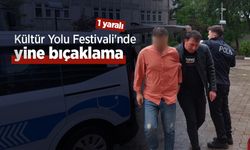 Kültür Yolu Festivali'nde yine bıçaklama: 1 yaralı