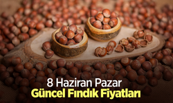 8 Haziran 2025 Güncel Fındık Fiyatları