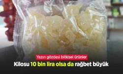 Kilosu 10 bin lira olsa da rağbet büyük: Yazın gözdesi bitkisel ürünler