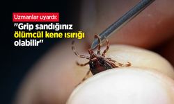 Uzmanlar uyardı: "Grip sandığınız ölümcül kene ısırığı olabilir"