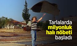 Tarlalarda milyonluk halı nöbeti başladı