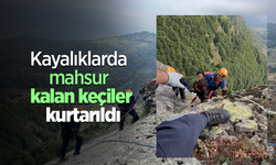 Kayalıklarda mahsur kalan keçiler kurtarıldı