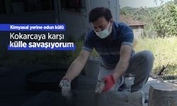 Kimyasal yerine odun külü: "Kokarcaya karşı külle savaşıyorum"