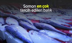 Somon en çok tercih edilen balık