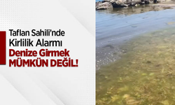 Taflan sahili kirlilik denize girmek mümkün değil!