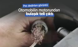 Pes dedirten görüntü: Otomobilin motorundan bulaşık teli çıktı