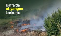 Bafra’da ot yangını korkuttu
