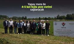 Yapay mera ile 4-5 kat fazla yem verimi sağlanacak