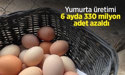 Yumurta üretimi 6 ayda 330 milyon adet azaldı