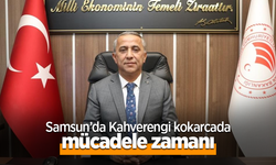 Samsun'da Kahverengi kokarcada mücadele zamanı