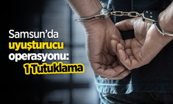 Samsun'da uyuşturucu operasyonu: 1 Tutuklama