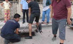 Rögarda mahsur kalan kargayı itfaiye kurtardı
