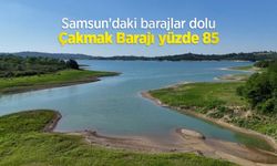 Samsun'daki barajlar dolu: Çakmak Barajı yüzde 85